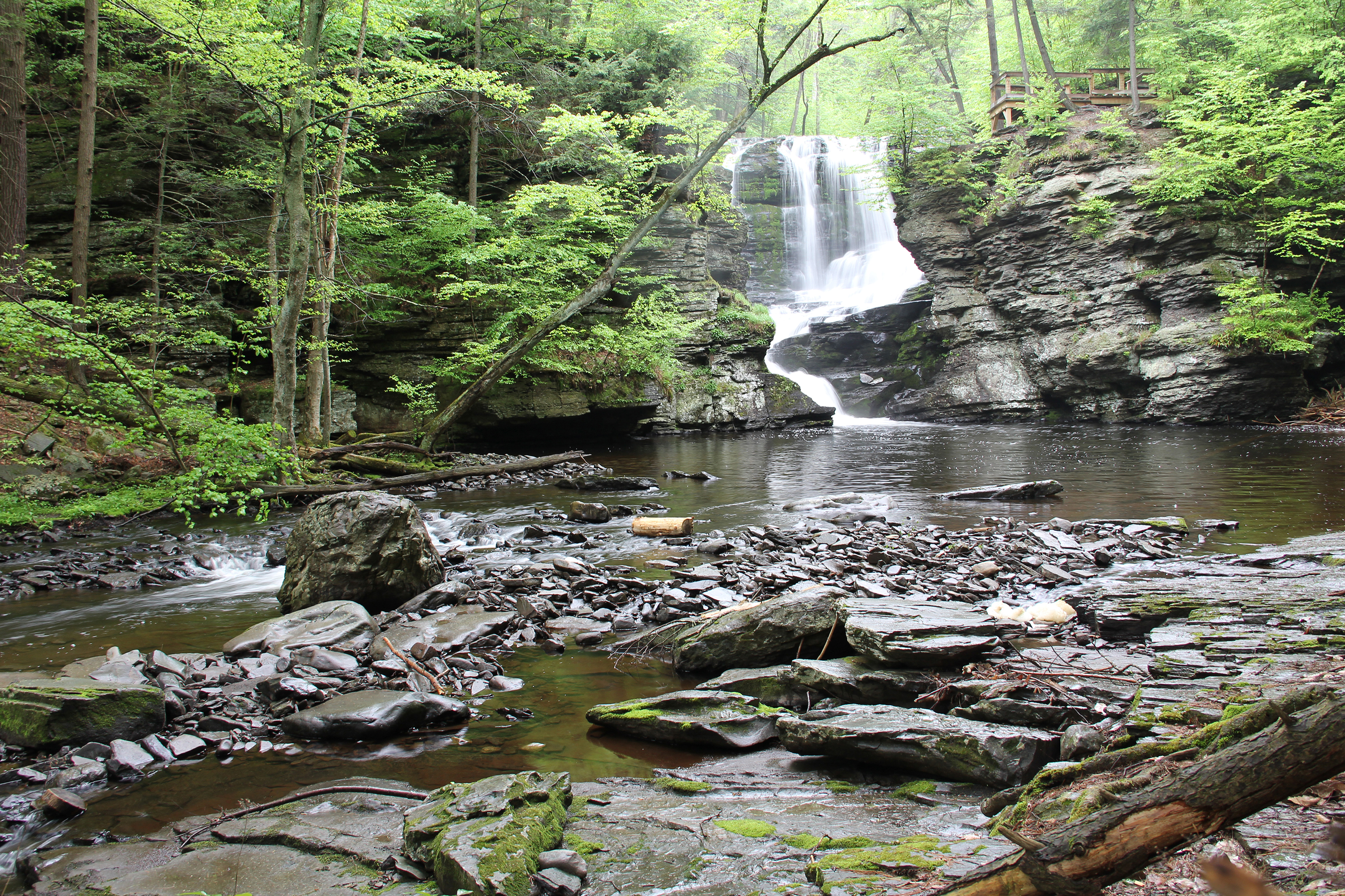 Dingmans Campground campground photo