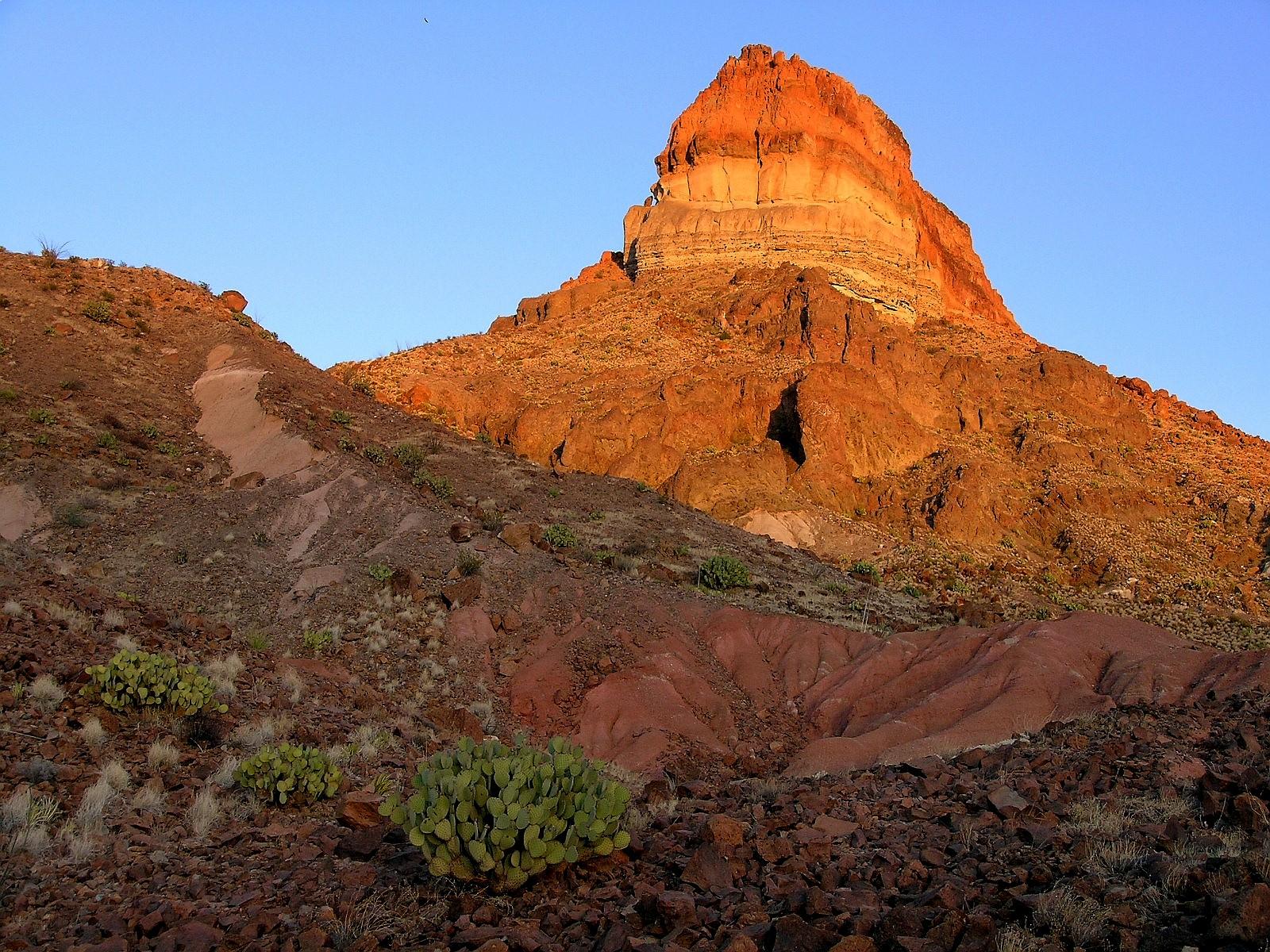 Chisos Basin Campground campground photo