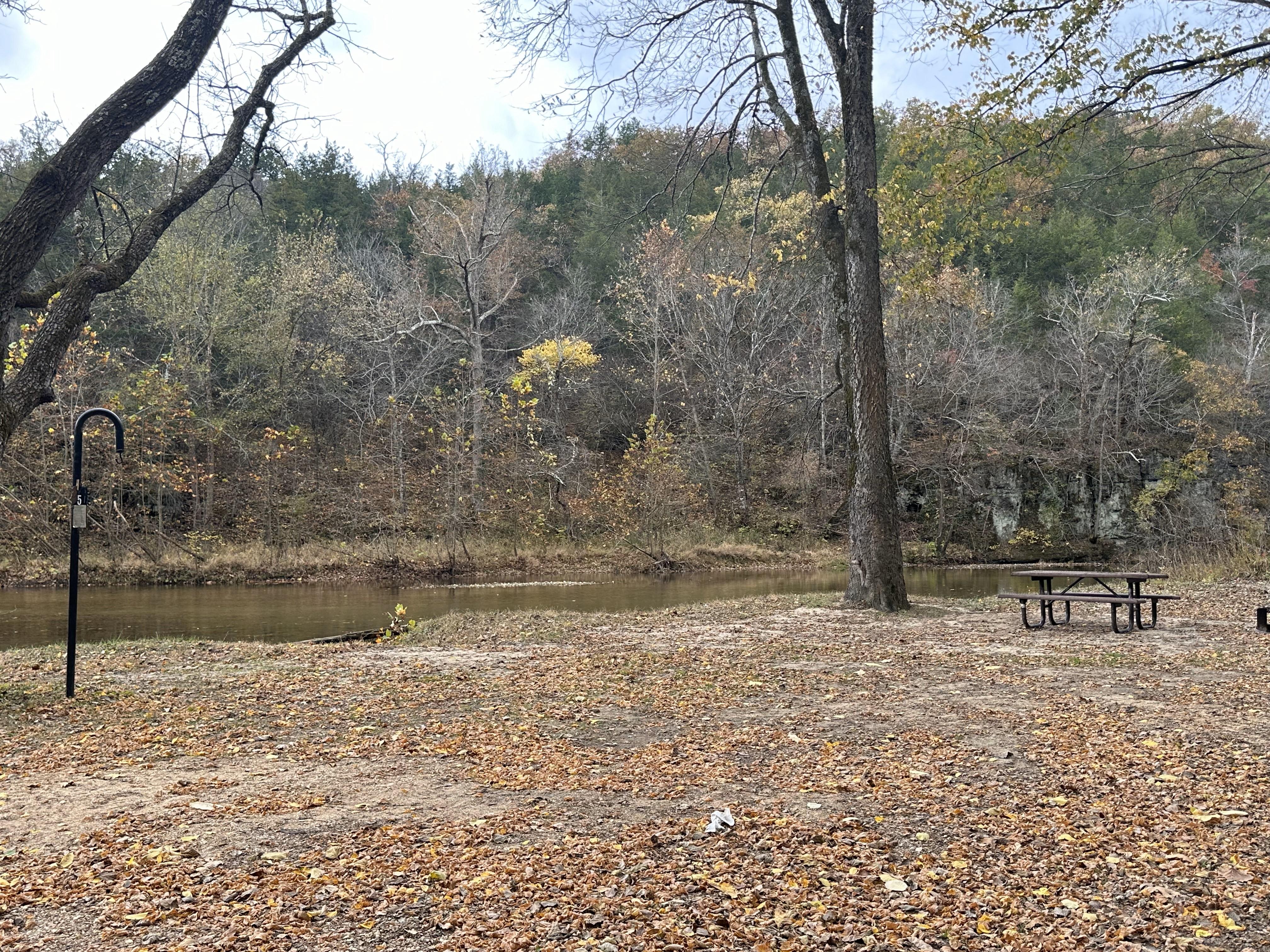 Cedar Grove Campground campground photo