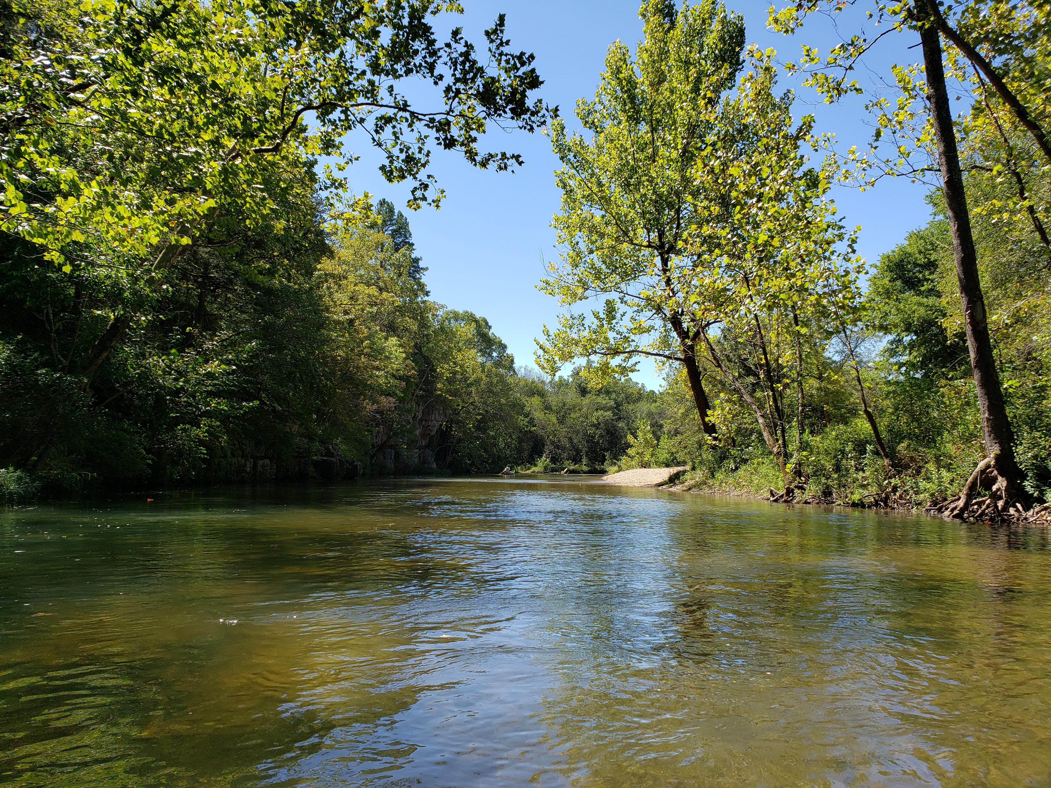 Cedar Grove Campground campground photo