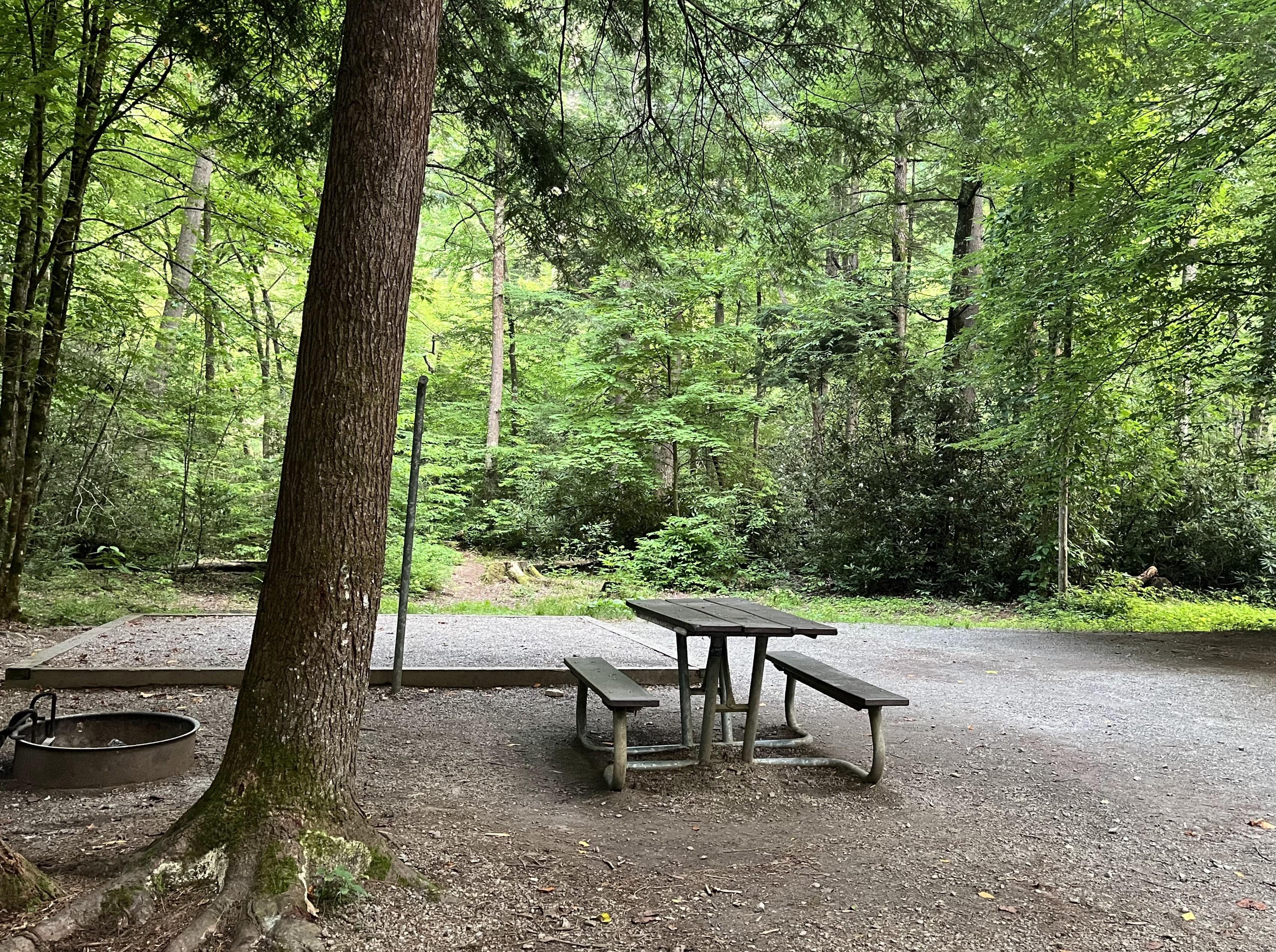 Cataloochee Campground campground photo