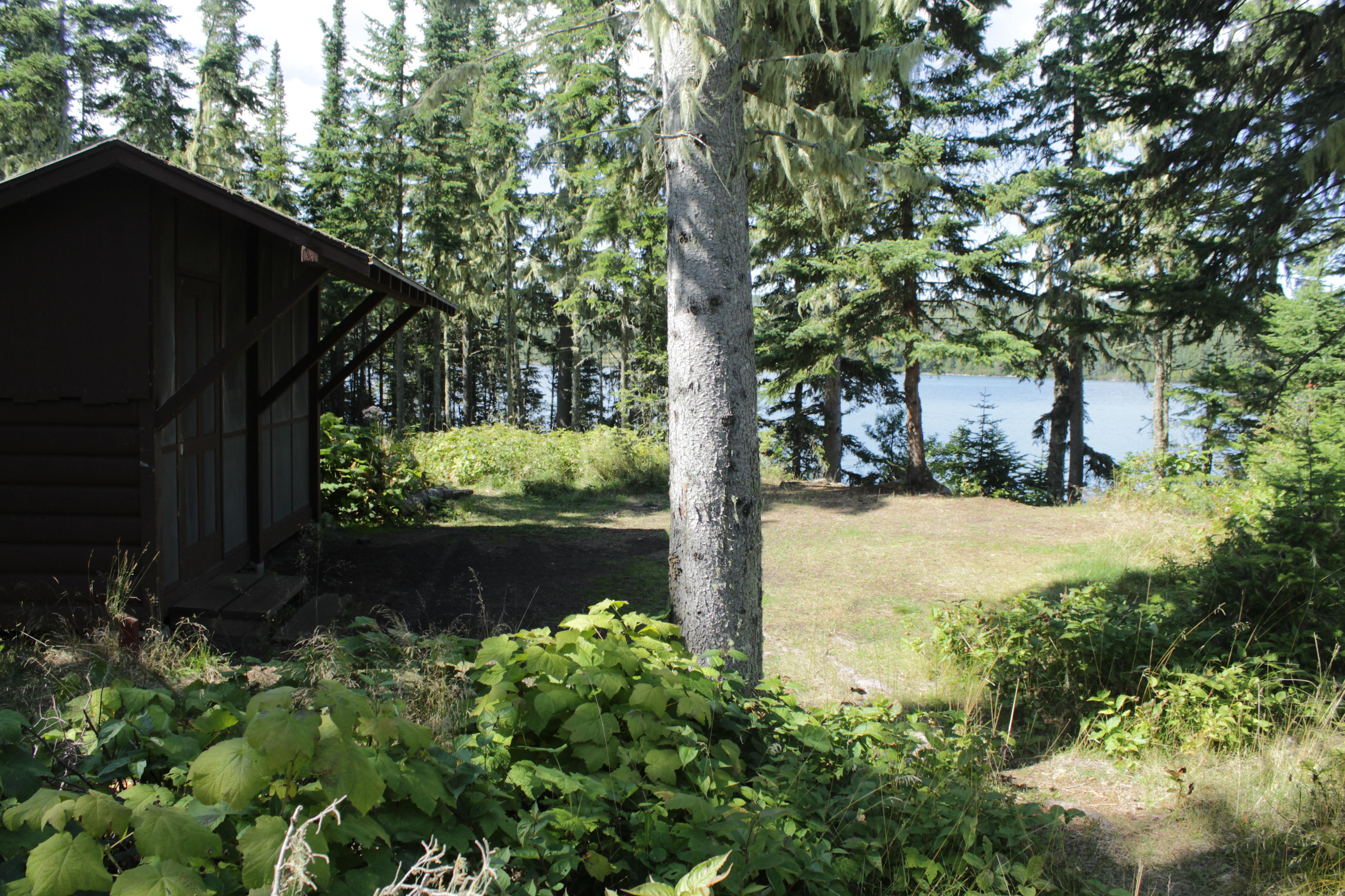 Caribou Island Campground campground photo