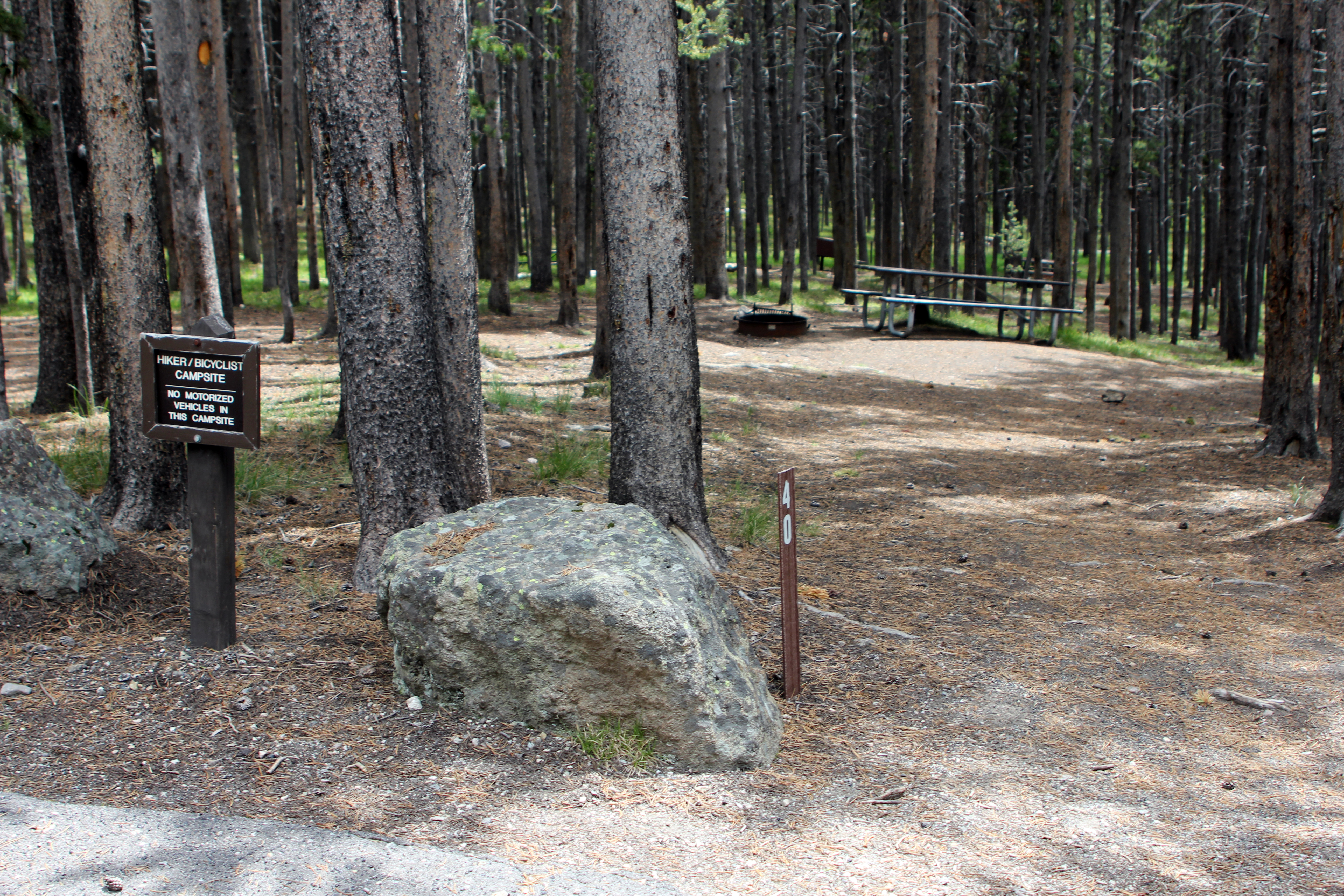 Canyon Campground campground photo