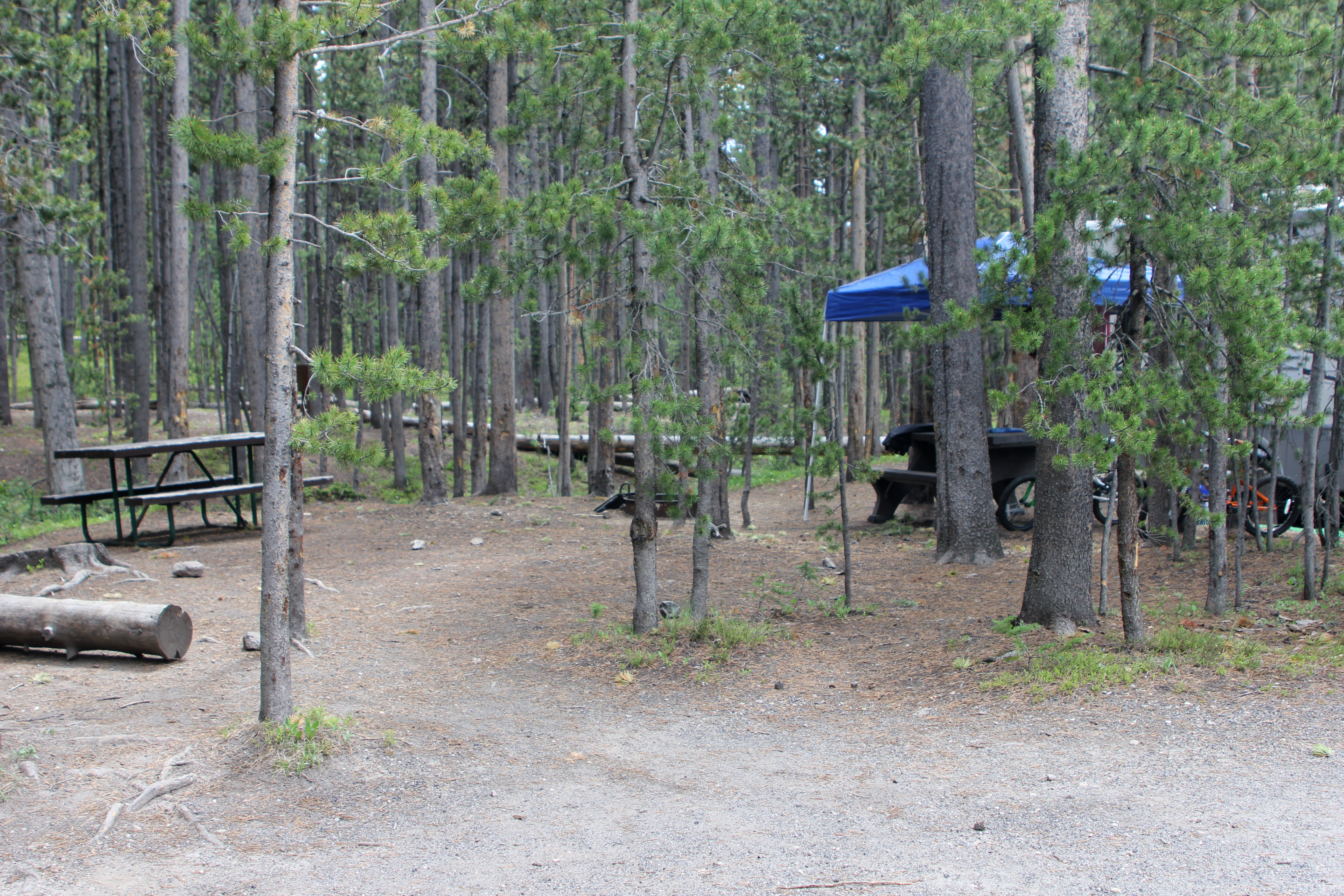 Canyon Campground campground photo