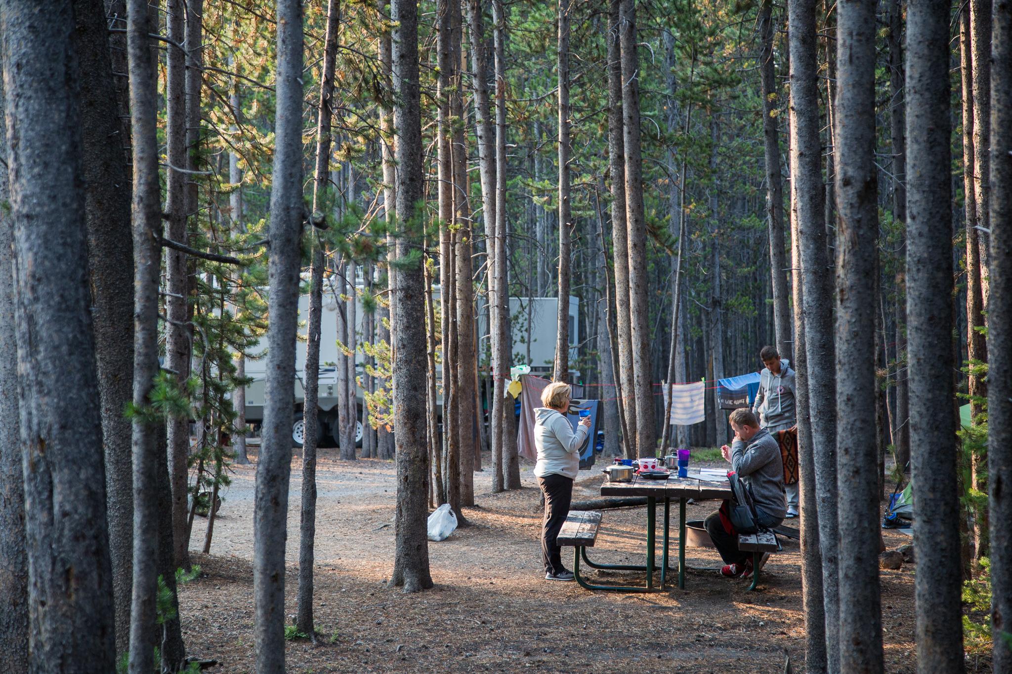 Canyon Campground campground photo