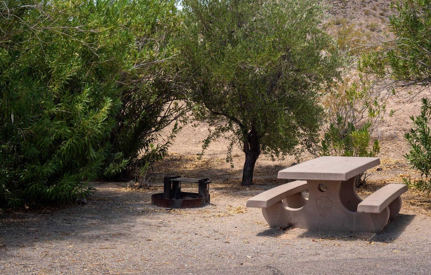 Callville Bay Campground campground photo