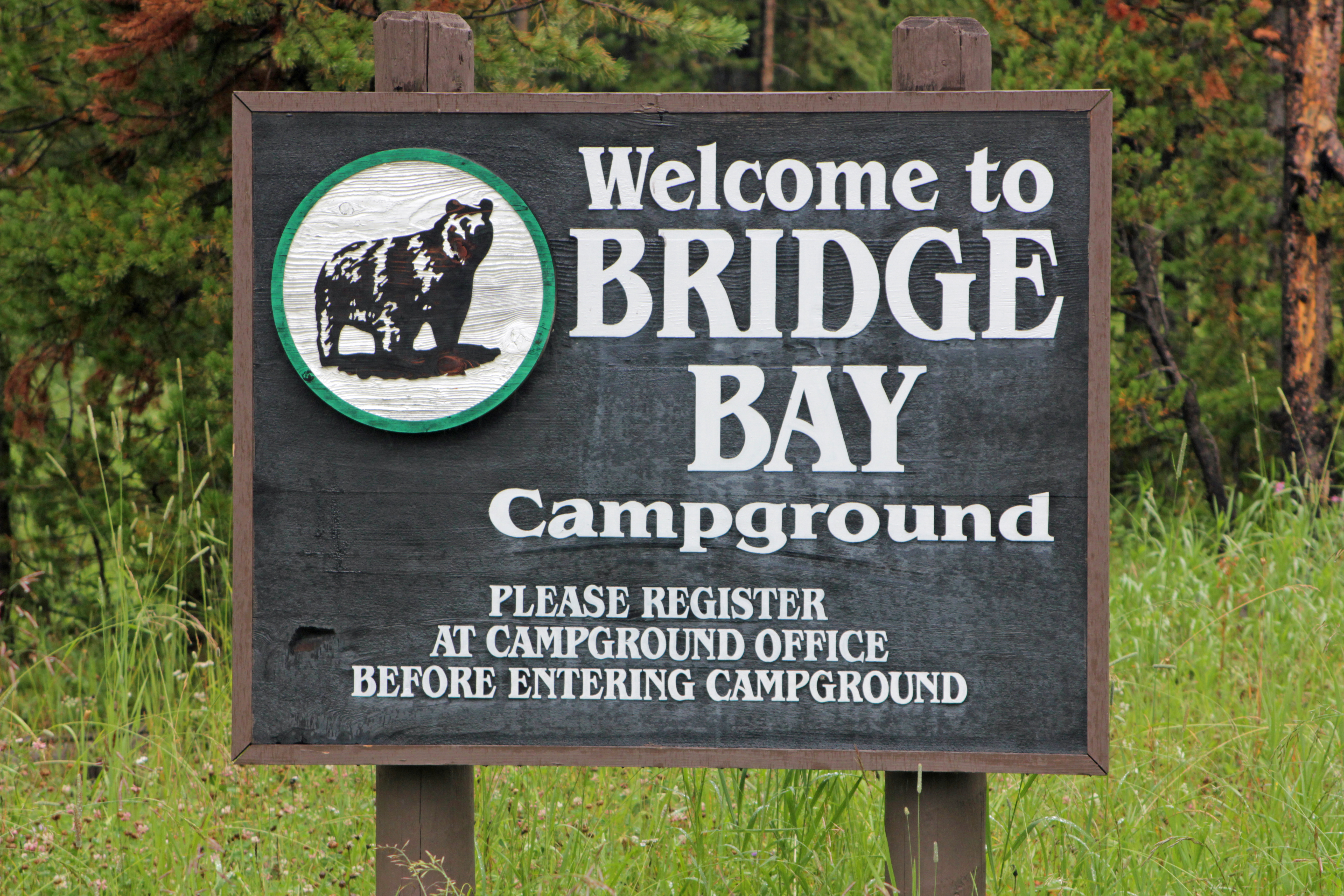 Bridge Bay Campground campground photo