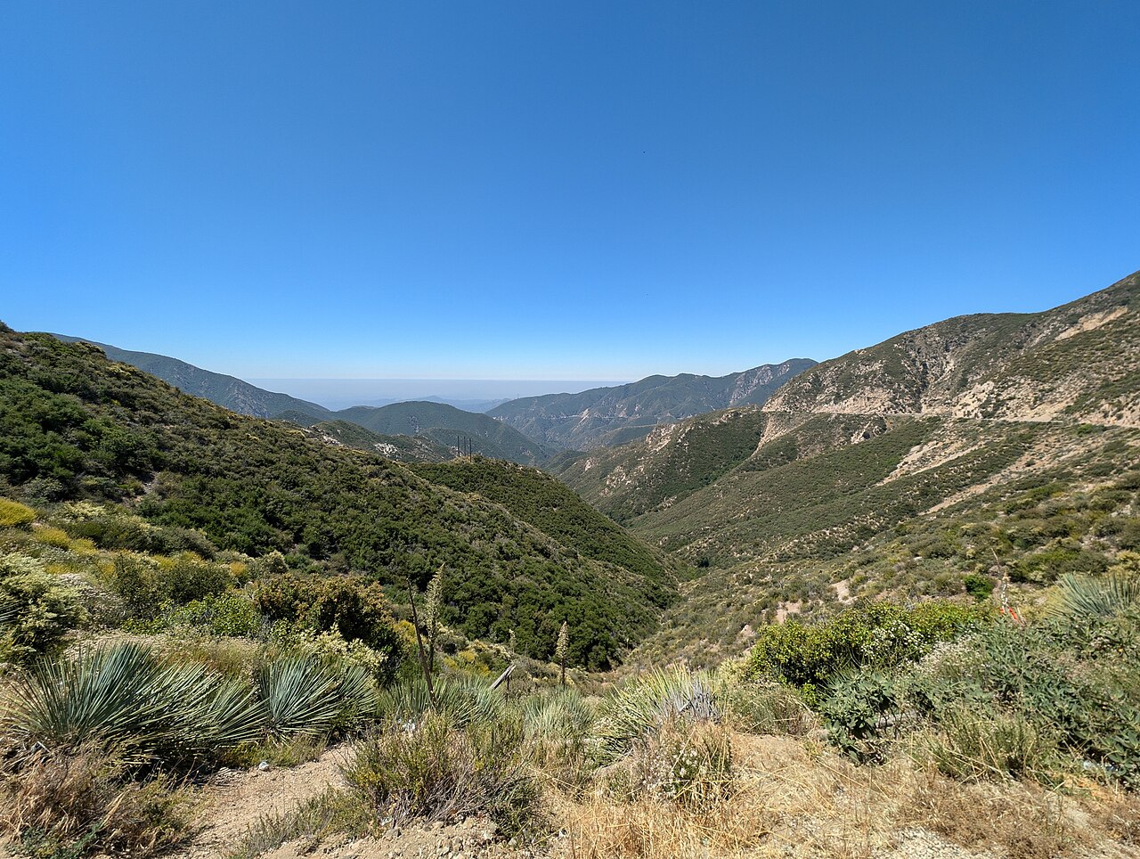 Escape the city in minutes!   The Angeles National Forest, right in LA's backyard, offers endless adventure.  With over 650,000 acres of mountains, meadows, and forests, it's perfect for hiking, camping, or just enjoying nature.  Explore waterfalls, sceni