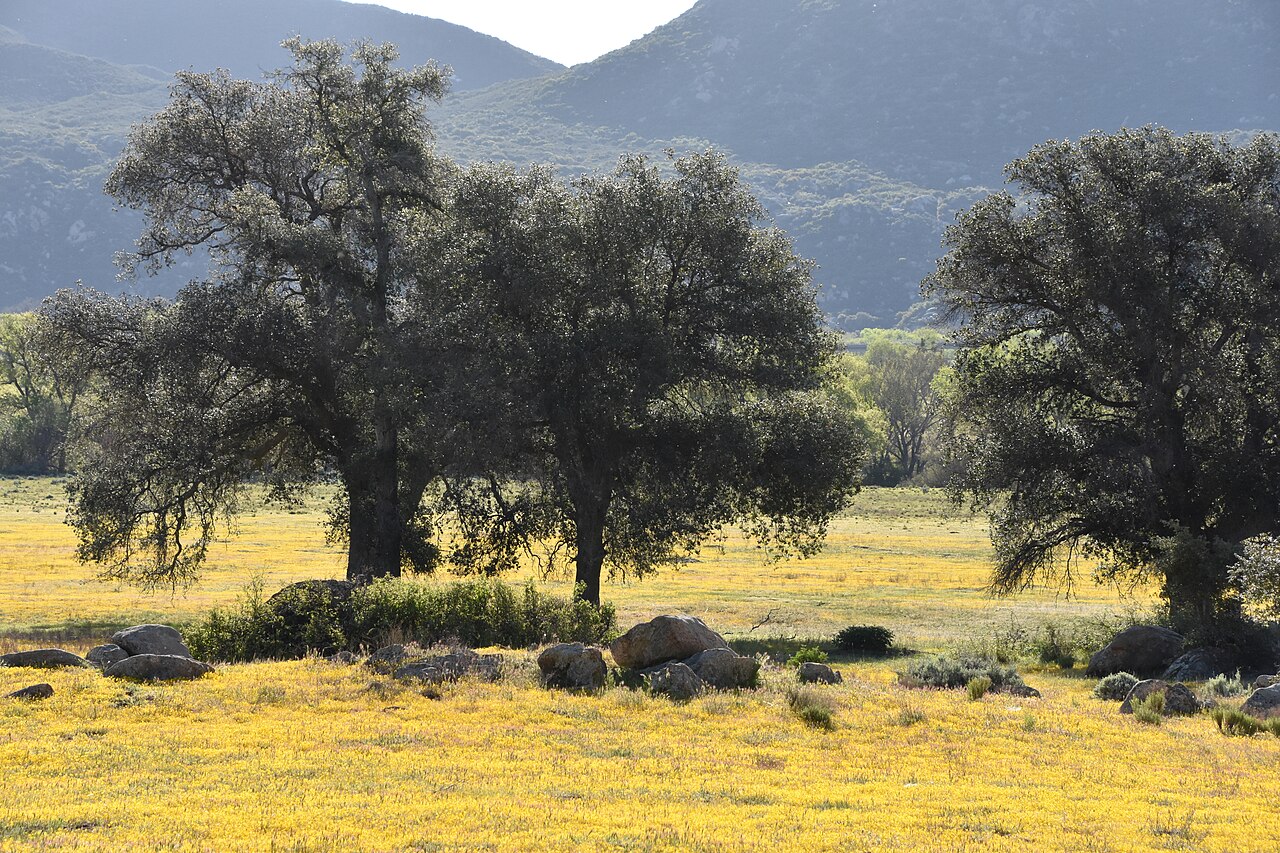 Boulder Oaks Campground - 33050717873