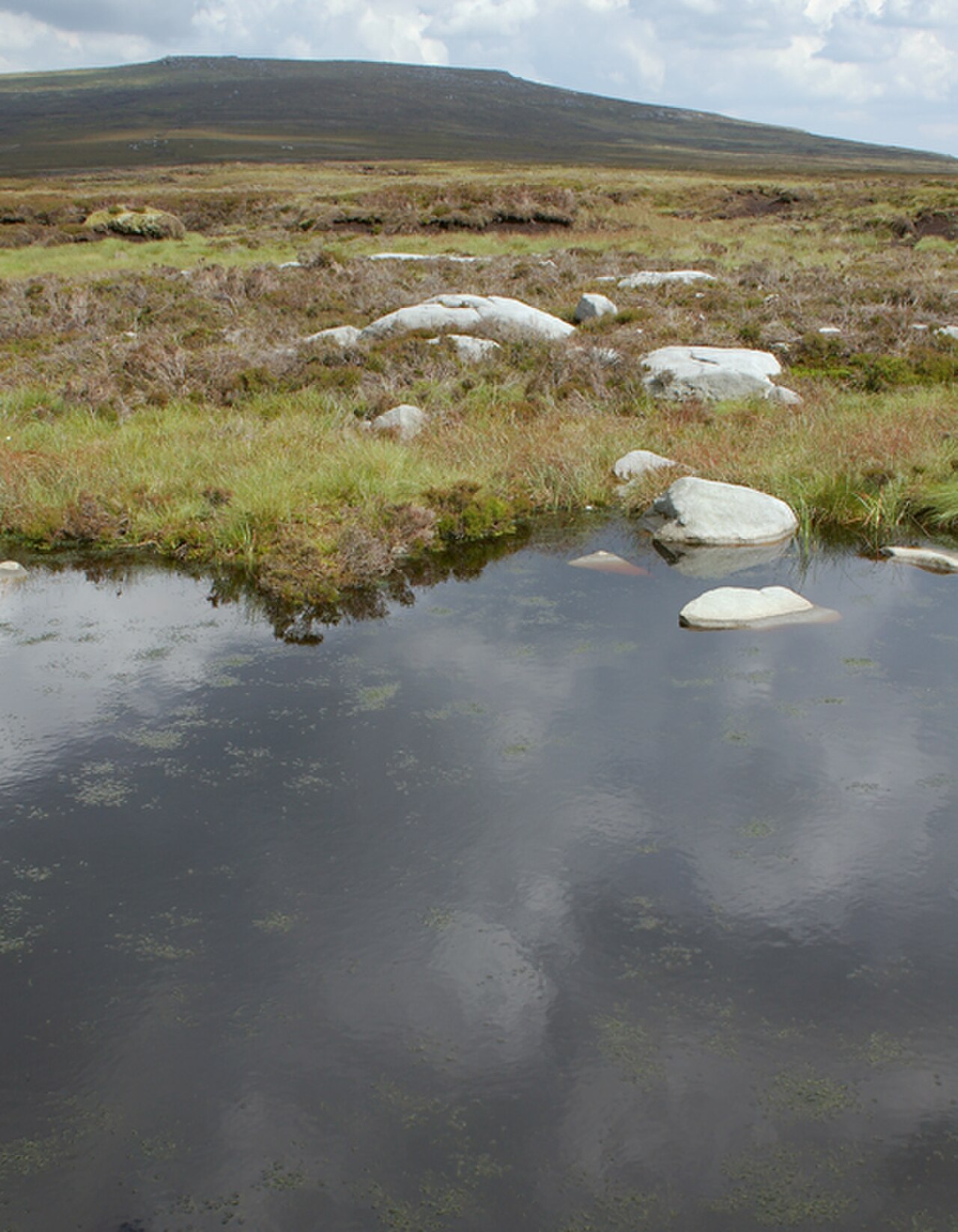 File:Small pond on Cabin Flat - geograph.org.uk - 506452.jpg