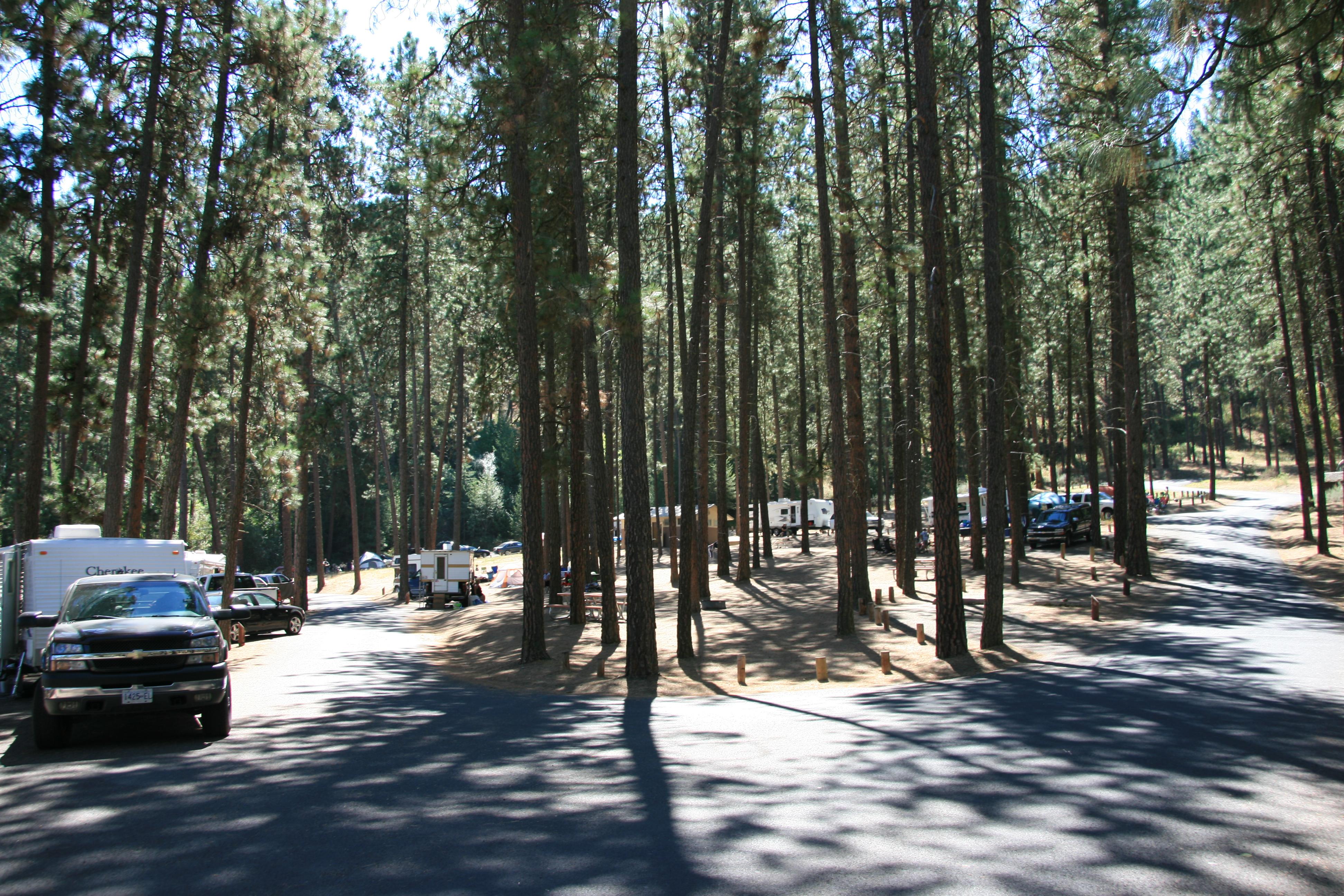 Campground from near the shore looking uphill through the trees