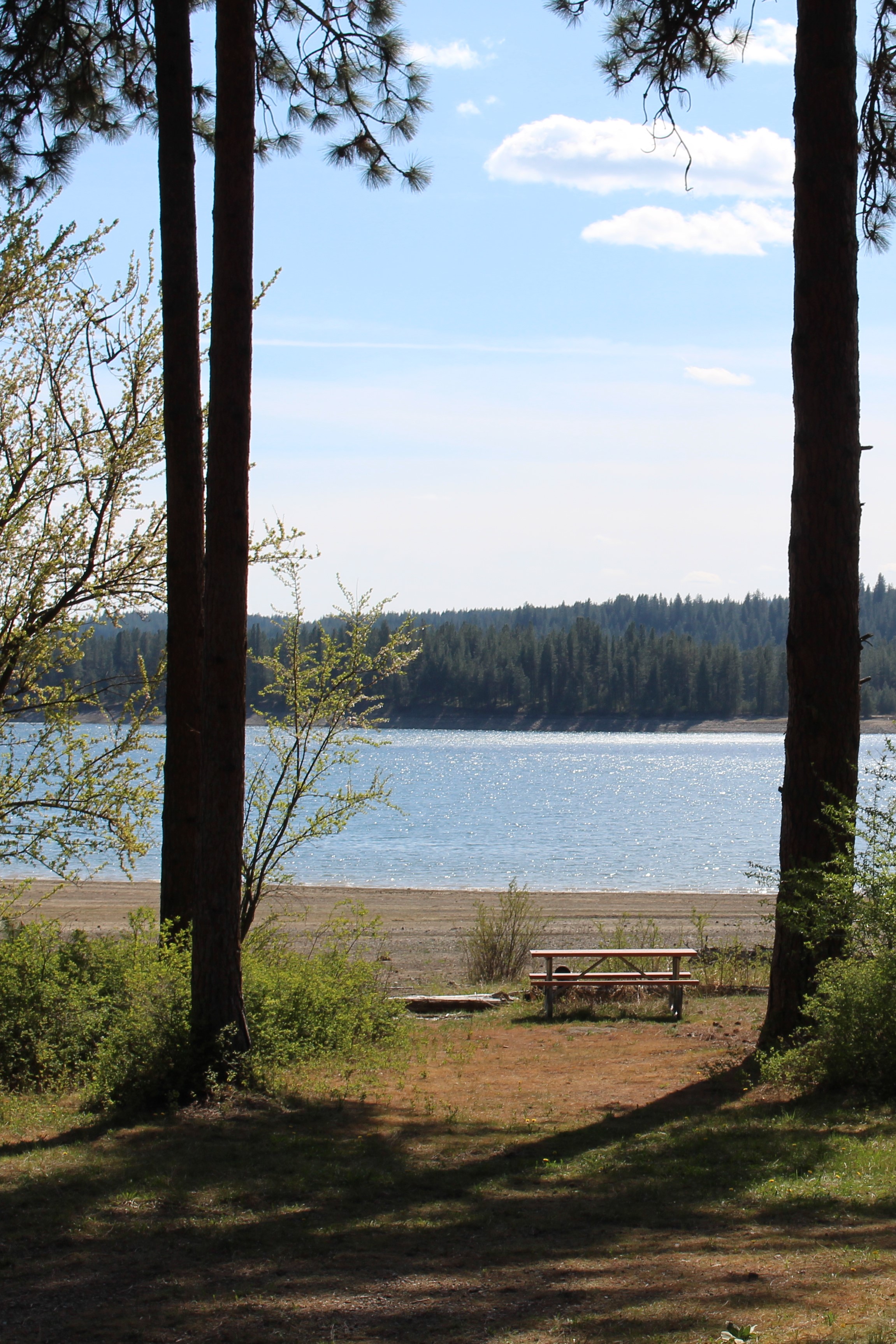 Campgrounds - Lake Roosevelt National Recreation Area (U.S. National Park Service)
